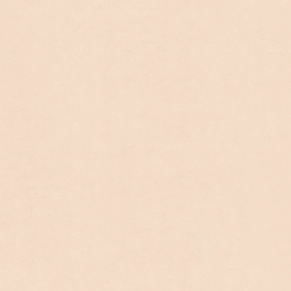 Шпалери RASCH Philomina 961911 