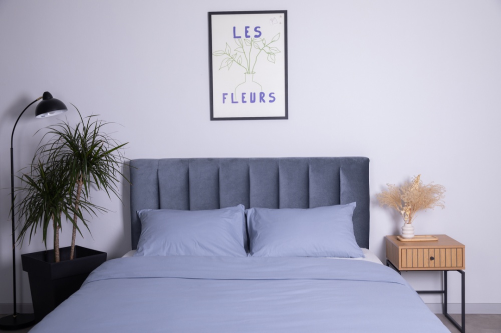 Комплект постільної білизни Mono 1.5 блакитний Luna