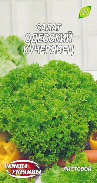 Семена Семена Украины салат Одеський кучерявець 1 г