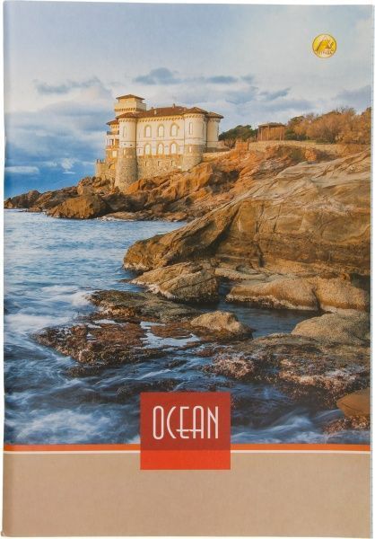 Тетрадь школьная 96 листов в клетку 459449 Тетрада