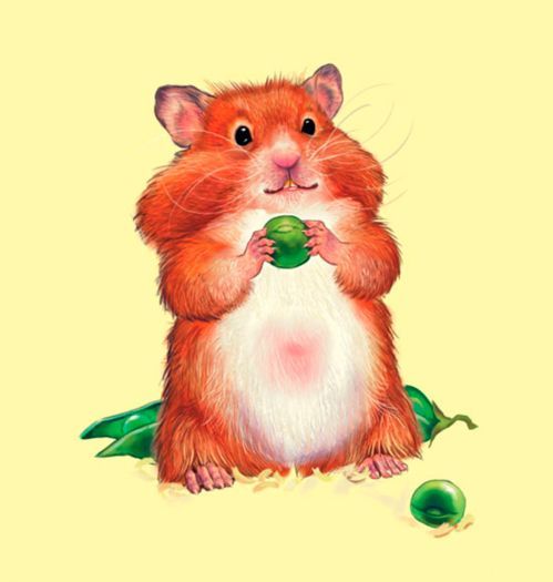 Книга «Словарик в картинках. Домашние животные» 9789667491246