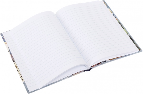 Книга для записей А5 80 л линия 16272-16275