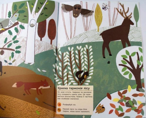 Книга «Моя книга природы: Животные леса» 978-617-09-4104-6