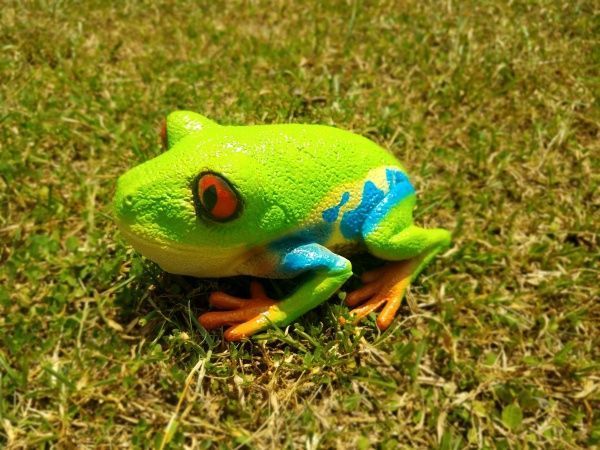 Игрушка Lanka Novelties Квакша красноглазая 25 см 21480 