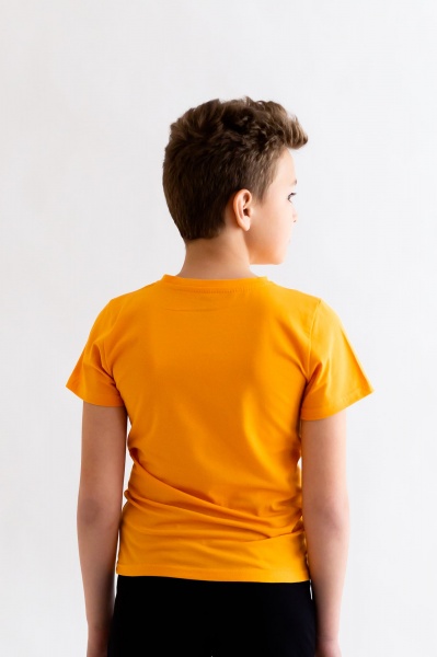 Футболка для хлопчиків KOSTA р.134–140 помаранчевий 2207-3 