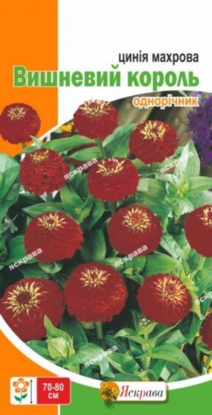 Насіння Яскрава майорці Вишневий Король махрова бордова 0,5 г