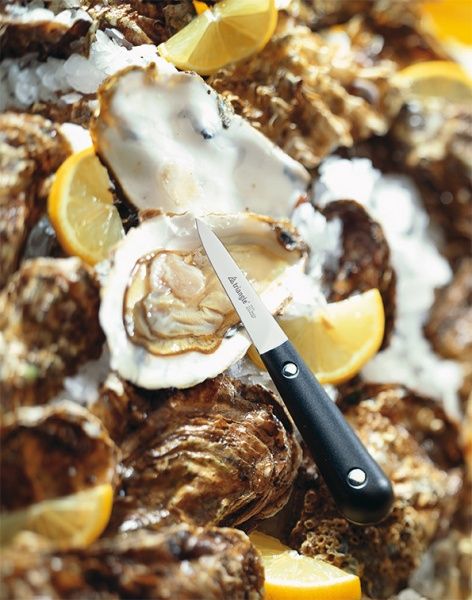 Ніж для устриць Triangle 10 мм