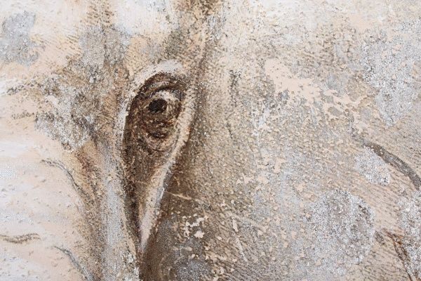 Картина Elephant 90x120 см GF 