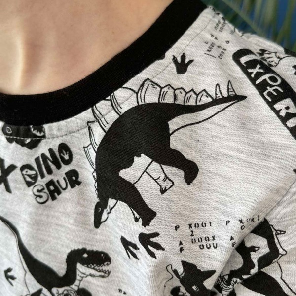 Футболка для мальчиков Blanka Т-рекс р.128 серый 12639 
