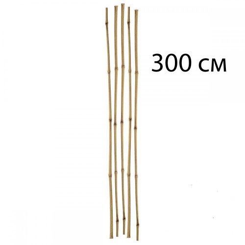 Бамбукова палка 295-300 см 1 шт.