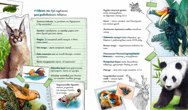 Книга Олена Шкаврон «Експедиція за дивовижними тваринами» 978-966-915-296-1