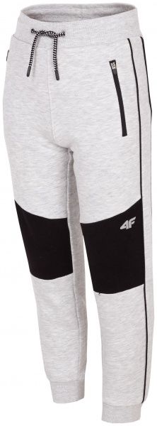 Брюки 4F HJZ19-JSPMD005-25S р. 134 серый