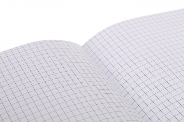 Книга для записей Летние нотки А5 96 листов