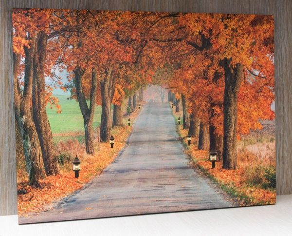 Картина LED Алея восени, з елементами живлення 30x40 см помаранчевий 