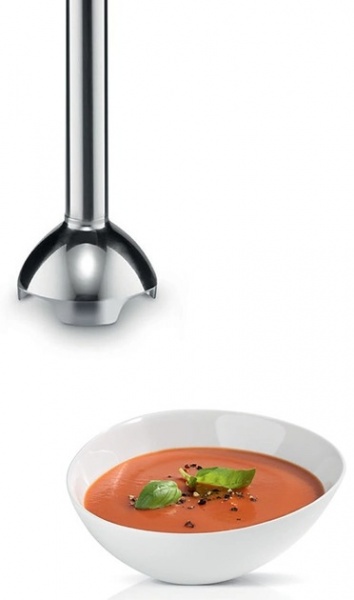 Блендер заглибний Bosch MSM24100 