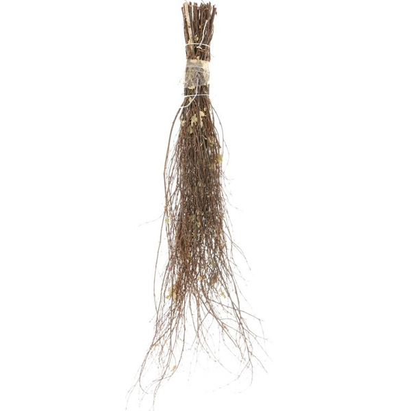 Мітла березова  d6-8 см