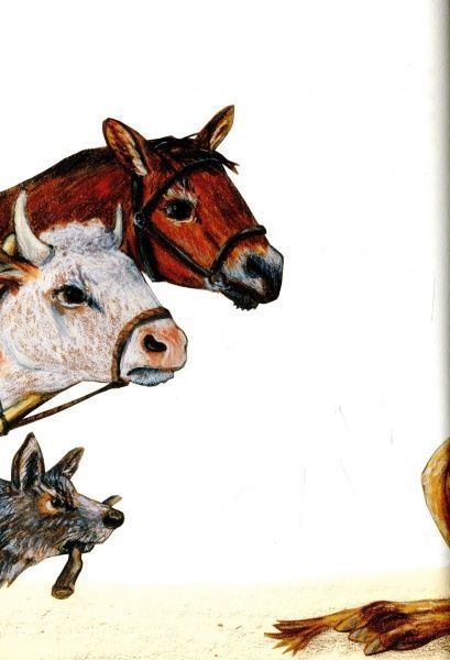 Книга «Метелик, який тупав ногою. Казки-оповідки» 978-617-7537-58-7