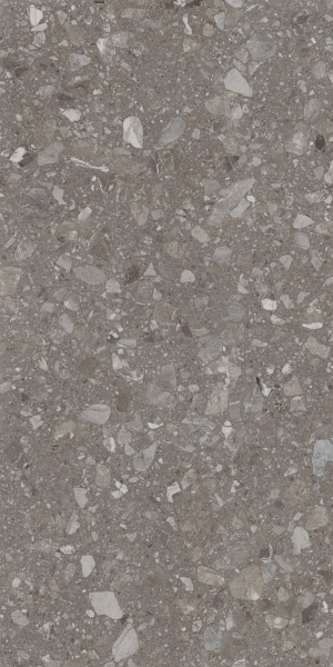 Плитка Allore Group Terra Greige F PC R Sugar (51,84) 60x120x8 