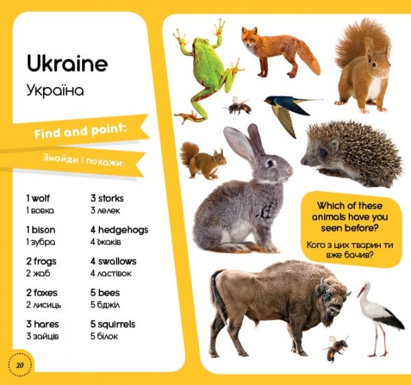 Книга «Книга 100 слів про тварин світу / 100 words about animals of the World»