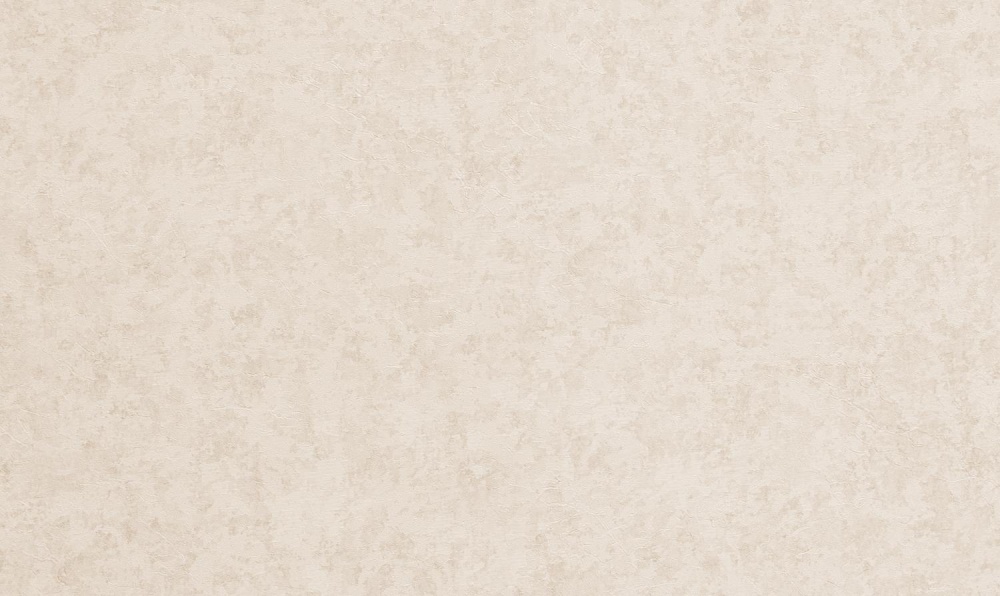 Шпалери вінілові на флізеліновій основі WallCOLOR W 158 C 13 1,06x10,05 м