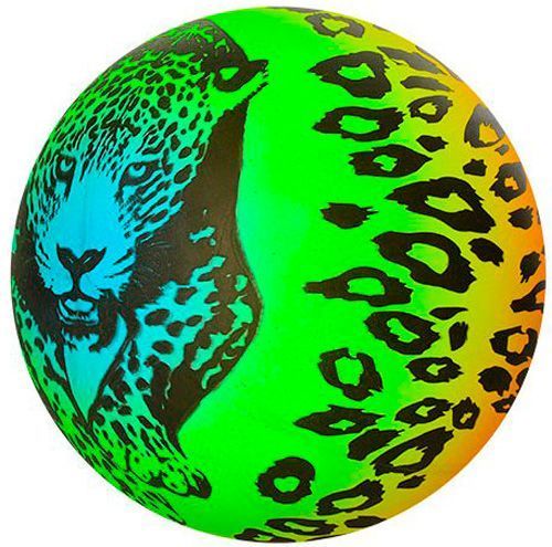 Мяч Радуга в ассортименте 23 см MS 1364