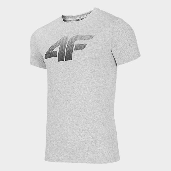 Футболка 4F NOSD4-TSM302-27M р.3XL серый