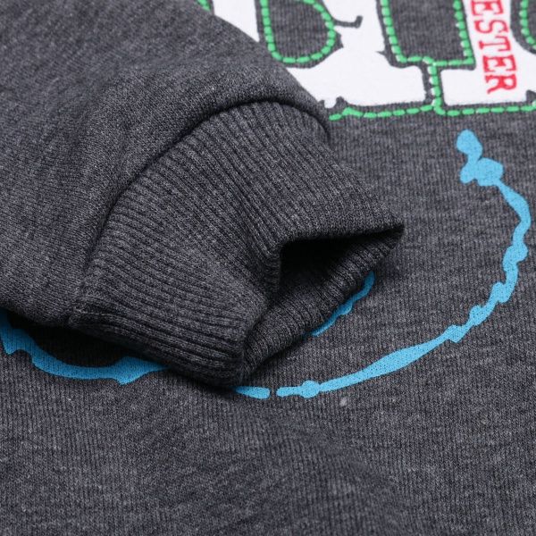 Світшот ALG р.110 сірий 221454 