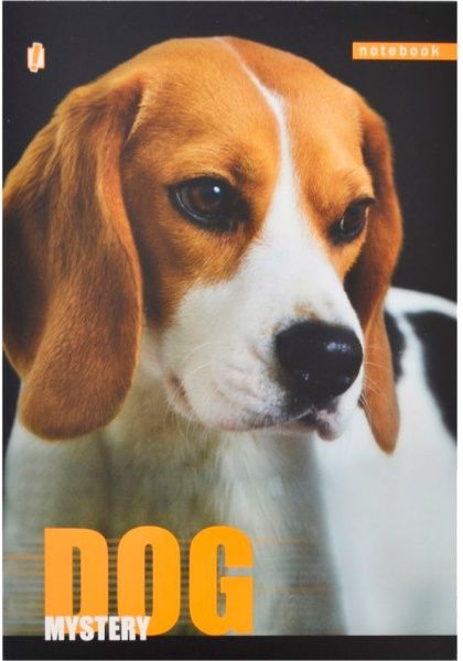 Книга для нотаток А5 60 YES