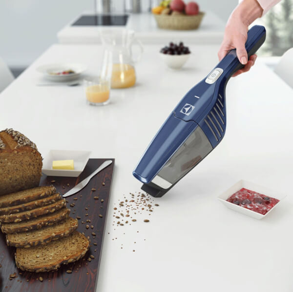 Пылесос Electrolux ERG101