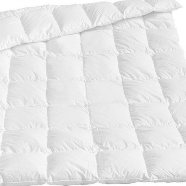 Одеяло Raffaello Зима+ №053 200x220 см MirSon