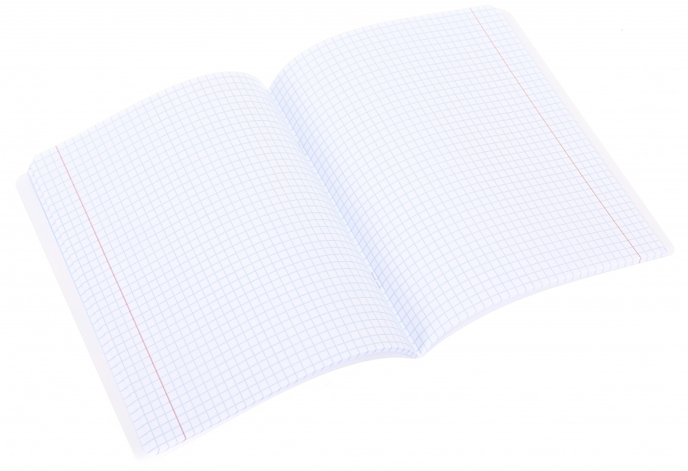 Тетрадь школьная Anime24 48 листов скоба клетка_1 Nota Bene