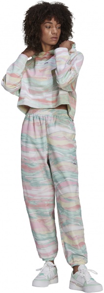 Штани Adidas Pants GN4290 р. 38 різнокольоровий