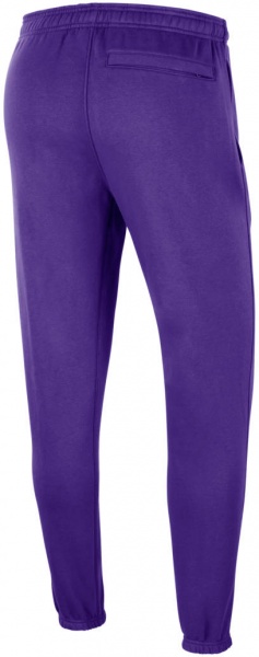 Брюки Nike LAL M NK FLC PANT CTS DN4711-504 р. 3XL фиолетовый