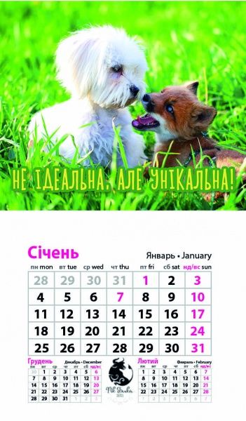 Календар «Магніт (20 видів) на 2021 год» 9786177308224