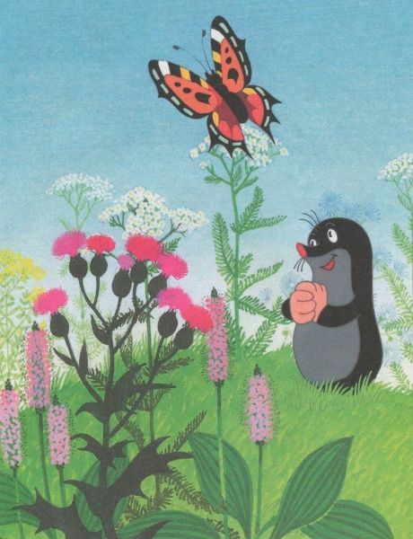 Книга Зденек Мілер «Кротик» 978-966-462-962-8