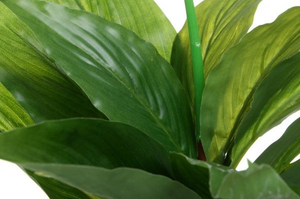 Цветок искусственный Спатифиллум в горшке 28 см