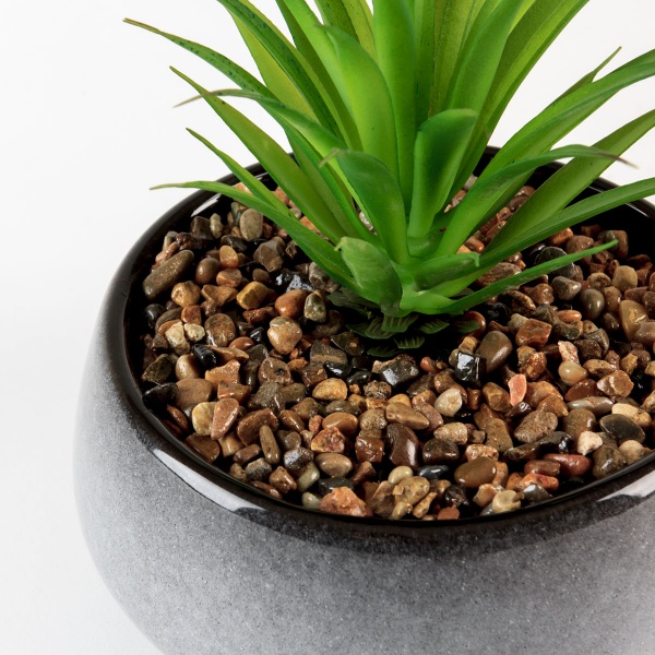 Растение декоративное DH-FLOWERS-19 GREEN/GRAY MVM