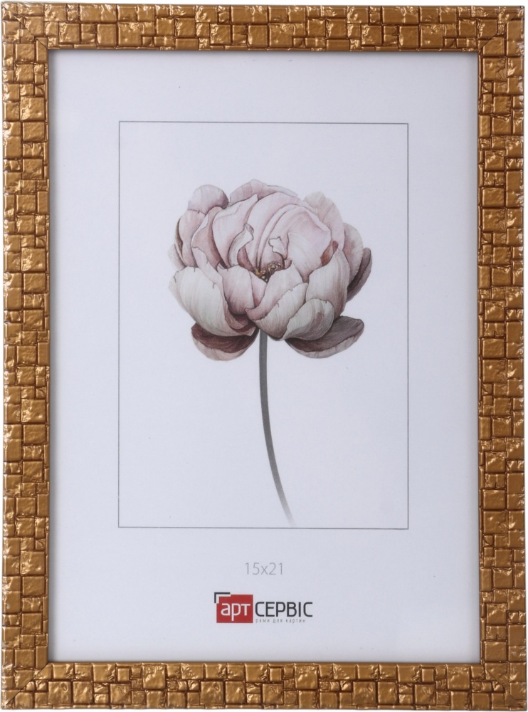 Рамка для фото Арт-Сервіс ЕА-01900 1 фото 15x21 см золотий