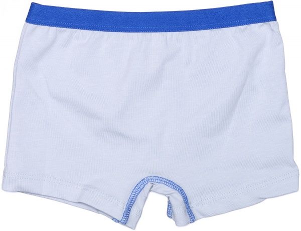 Труси для хлопчиків KOSTA 7118-4 р.110-116 сірий 