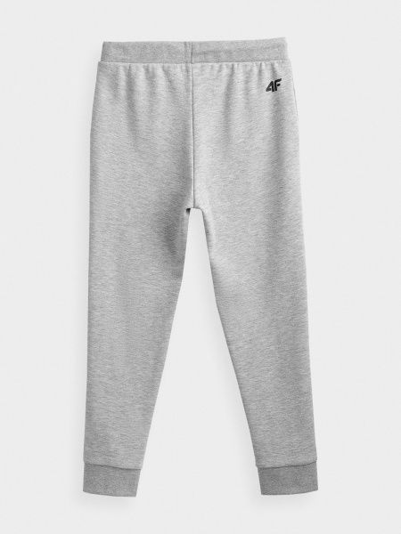 Штани 4F NOSDJ-JSPMD300-27M р. 122 сірий