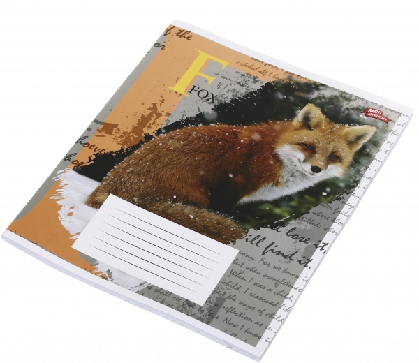 Зошит шкільний 60 аркушів у клітинку в асортименті Мрії збуваються