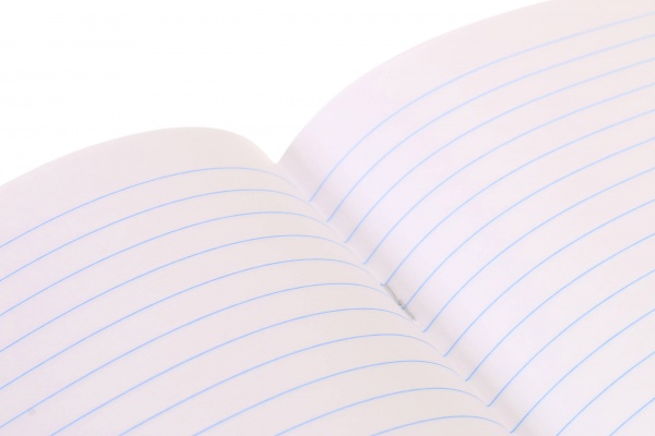 Тетрадь школьная Anime скоба 18 листов в линию Мечты сбываются