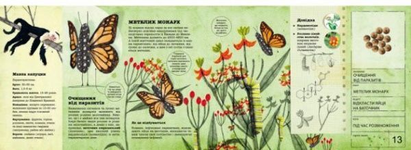 Книга Энджи Триус «Лікарі у світі тварин» 222-229-312-201-9