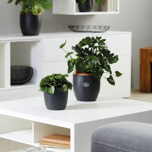 Кашпо керамічне Soendgen Boston круглий 19 л білий матовий 