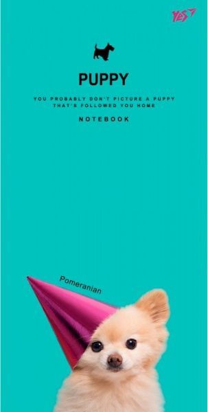 Книга для записей 100*200/64 интеграл YES