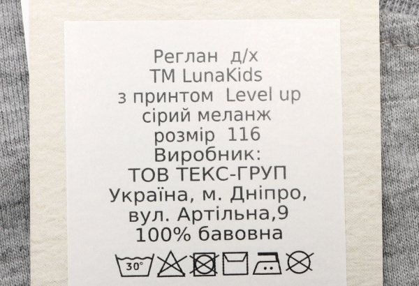 Реглан для хлопчика Luna Kids Level up р.98 сірий меланж 