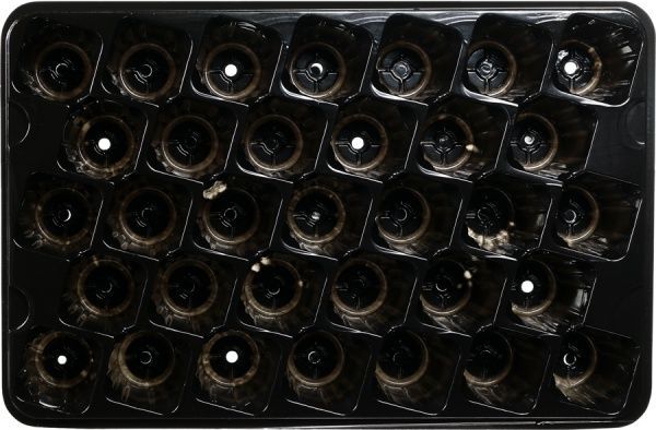 Кассета Дім, сад, город плюс для рассады на 33 ячейки