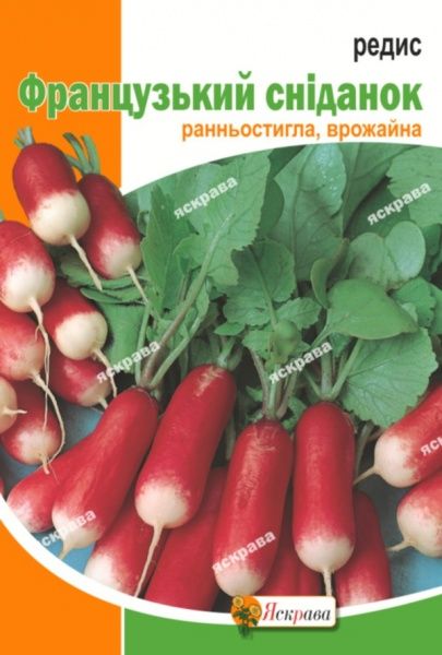 Семена Яскрава редис Французкий Завтрак 20г (4823069898489)
