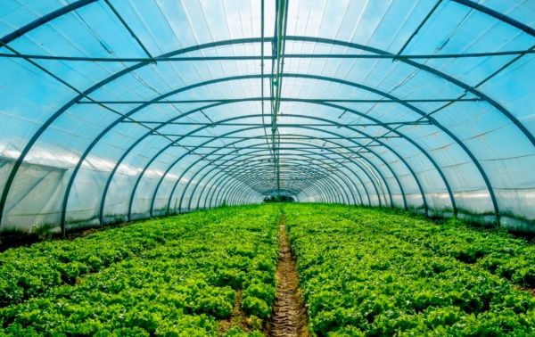 Пленка полиэтиленовая стабилизированная (24) 3 х 50 м. Планета Пластик 100 мк прозрачный желтый