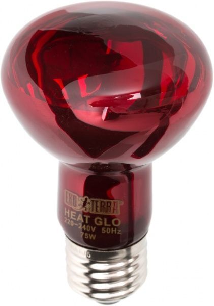 Лампа Hagen ExoTerra Heat Glo R20 інфрачервона 75W